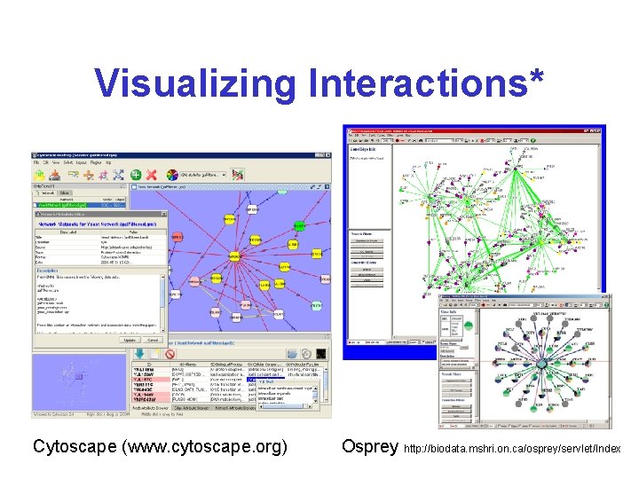 Visualizing Interactions* Cytoscape (www. cytoscape. org) Osprey http: //biodata. mshri. on. ca/osprey/servlet/Index 