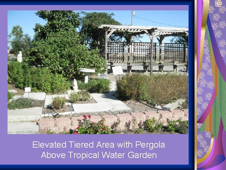 Elevated Tiered Area with Pergola Above Tropical Water Garden 