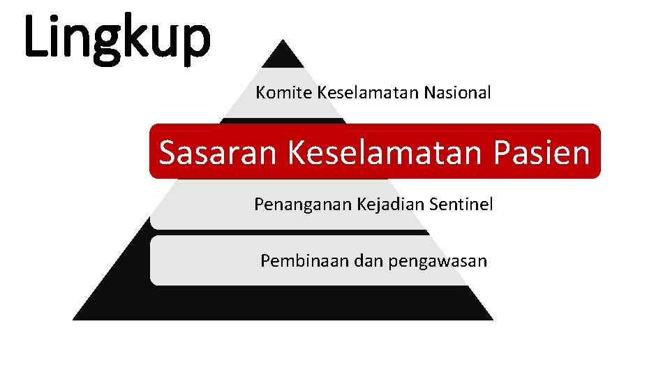 Lingkup Komite Keselamatan Nasional Penyelenggaraan Keselamatan Pasien (standar, 7 langkah, sasaran keselamatan pasien) Sasaran
