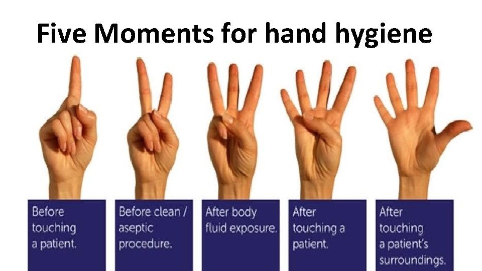 Five Moments for hand hygiene 
