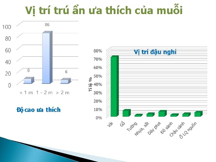 Vị trí trú ẩn ưa thích của muỗi Độ cao ưa thích 