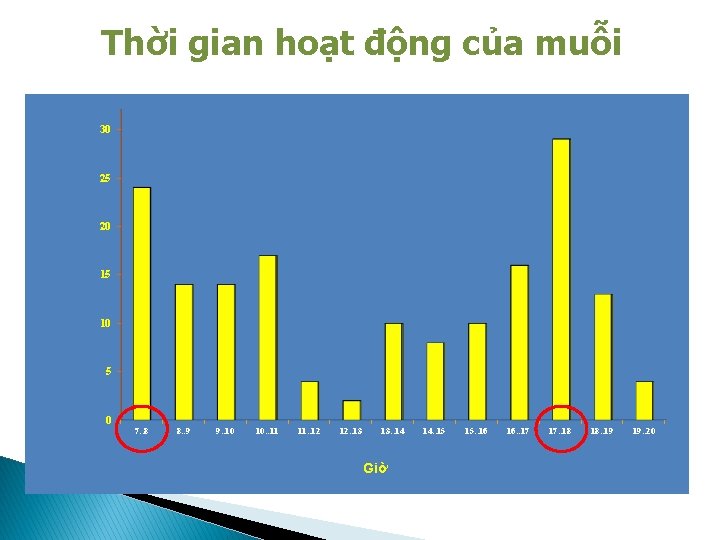 Thời gian hoạt động của muỗi 30 25 20 15 10 5 0 7.