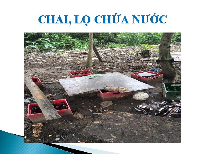 CHAI, LỌ CHỨA NƯỚC 