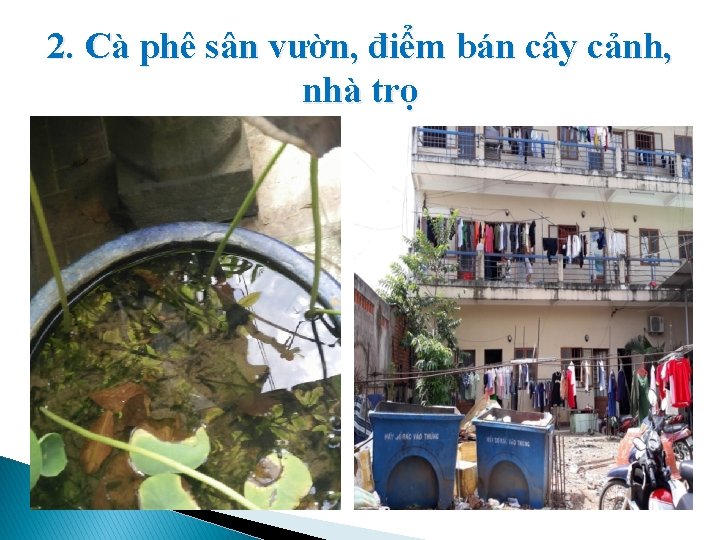 2. Cà phê sân vườn, điểm bán cây cảnh, nhà trọ 