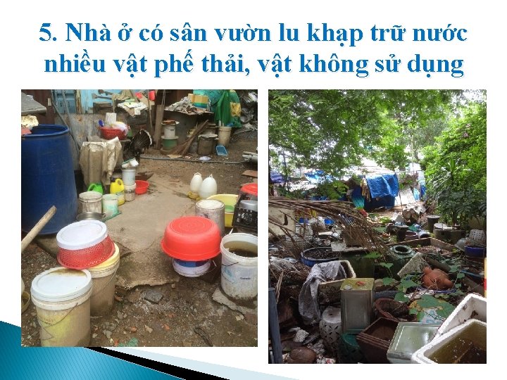 5. Nhà ở có sân vườn lu khạp trữ nước nhiều vật phế thải,