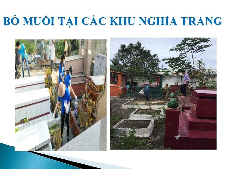 BỎ MUỐI TẠI CÁC KHU NGHĨA TRANG 