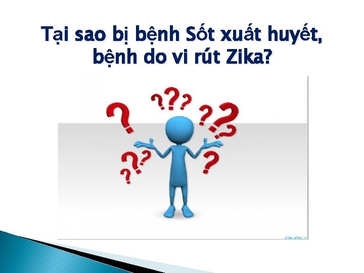 Tại sao bị bệnh Sốt xuất huyết, bệnh do vi rút Zika? 