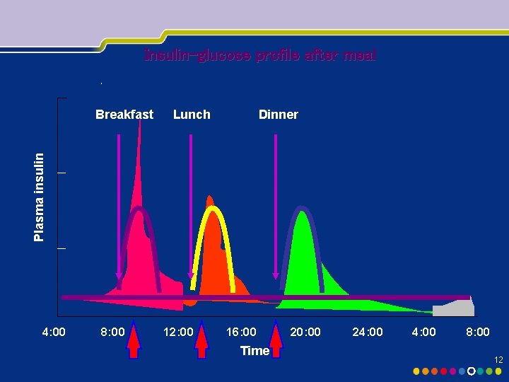 Insulin-glucose profile after meal Lunch Dinner Plasma insulin Breakfast 4: 00 8: 00 12: