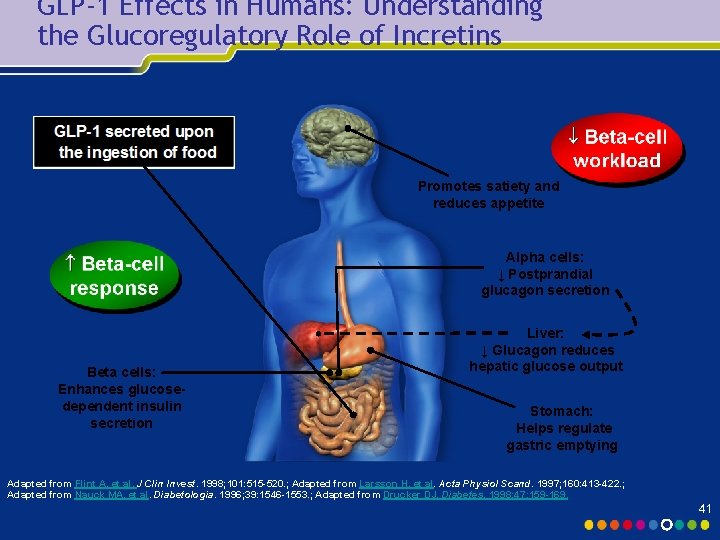 GLP-1 Effects in Humans: Understanding the Glucoregulatory Role of Incretins Promotes satiety and reduces