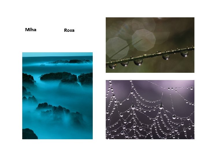 Mlha Rosa 
