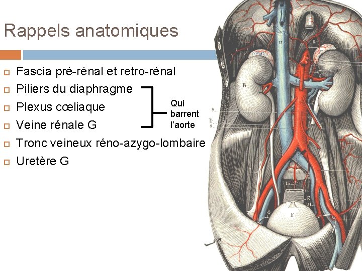 Rappels anatomiques Fascia pré-rénal et retro-rénal Piliers du diaphragme Qui Plexus cœliaque barrent l’aorte