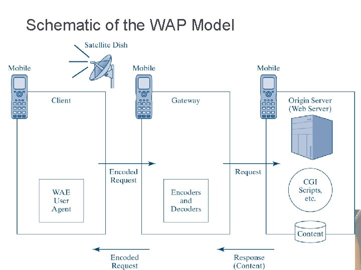  Schematic of the WAP Model 