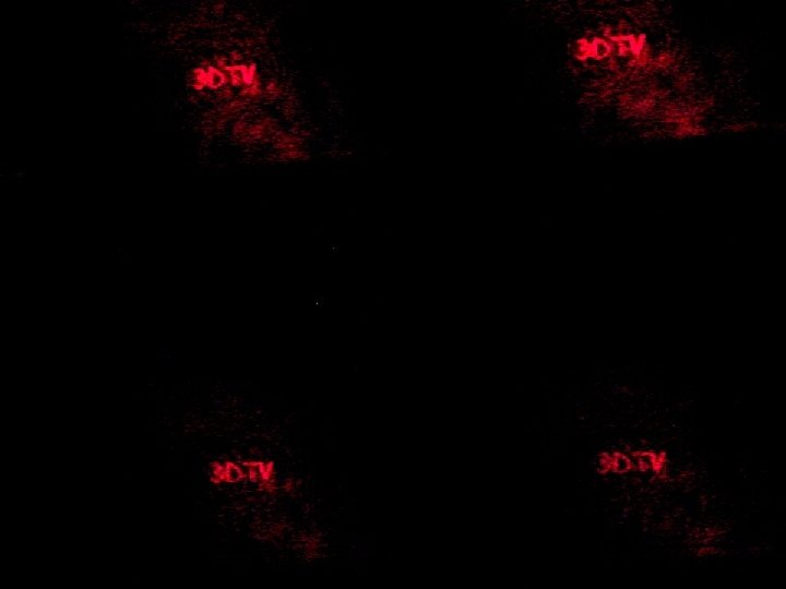 20 Ekim 2008 Bilkent-Erzurum - Levent Onural 25 