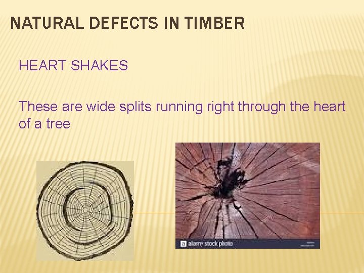 NATURAL DEFECTS IN TIMBER HEART SHAKES These are wide splits running right through the