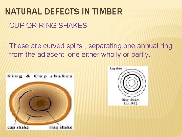 NATURAL DEFECTS IN TIMBER CUP OR RING SHAKES These are curved splits , separating
