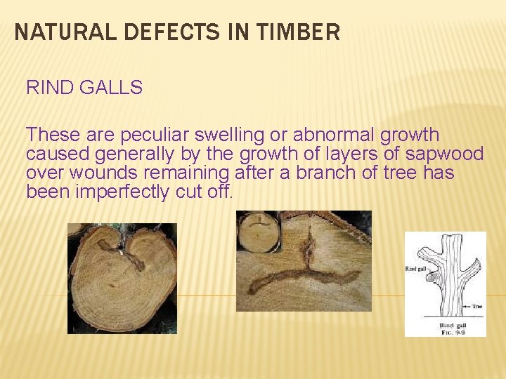 NATURAL DEFECTS IN TIMBER RIND GALLS These are peculiar swelling or abnormal growth caused