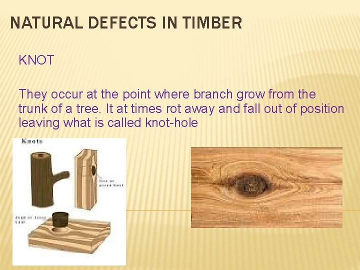 NATURAL DEFECTS IN TIMBER KNOT They occur at the point where branch grow from