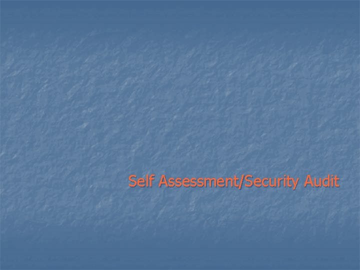 Self Assessment/Security Audit 