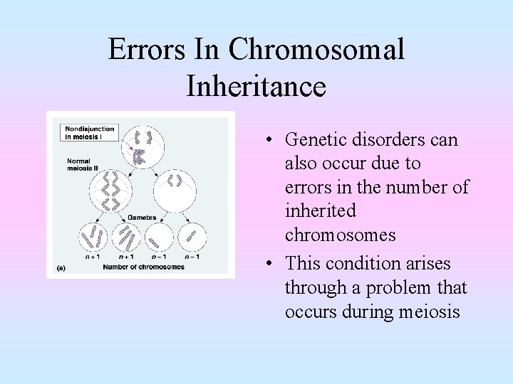 Errors In Chromosomal Inheritance • Genetic disorders can also occur due to errors in