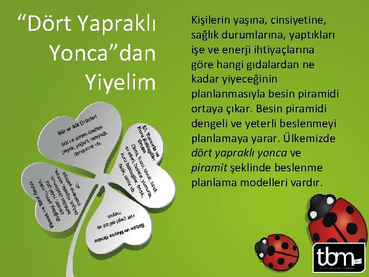 “Dört Yapraklı Yonca”dan Yiyelim Kişilerin yaşına, cinsiyetine, sağlık durumlarına, yaptıkları işe ve enerji ihtiyaçlarına