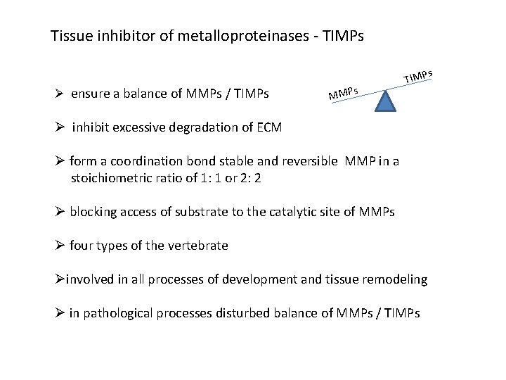 Tissue inhibitor of metalloproteinases - TIMPs s Ø ensure a balance of MMPs /