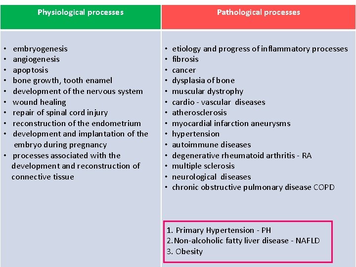 Physiological processes Pathological processes • embryogenesis • angiogenesis • apoptosis • bone growth, tooth