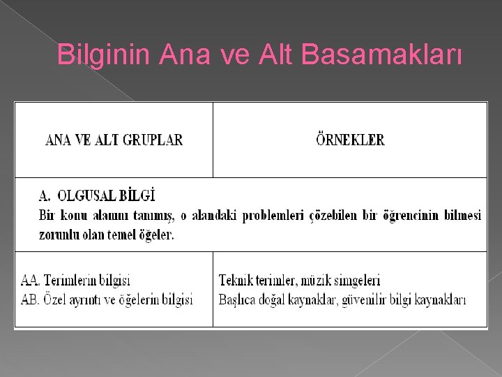 Bilginin Ana ve Alt Basamakları 