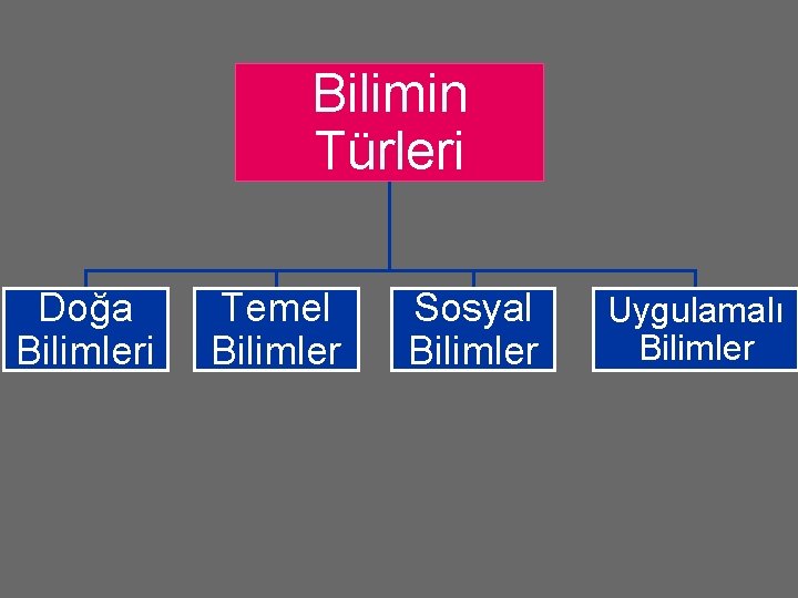 Bilimin Türleri Doğa Bilimleri Temel Bilimler Sosyal Bilimler Uygulamalı Bilimler 