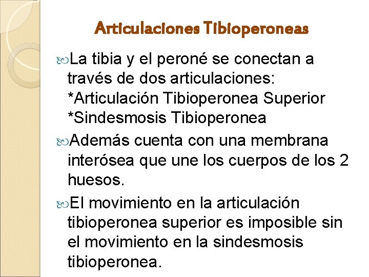 Articulaciones Tibioperoneas La tibia y el peroné se conectan a través de dos articulaciones: