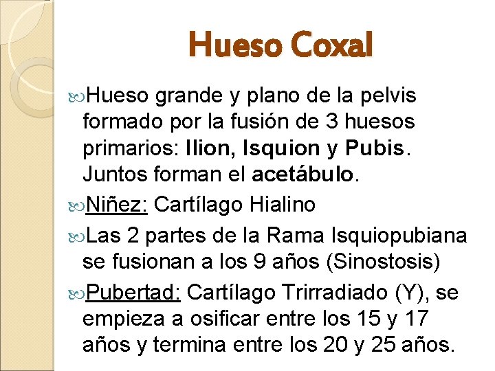 Hueso Coxal Hueso grande y plano de la pelvis formado por la fusión de