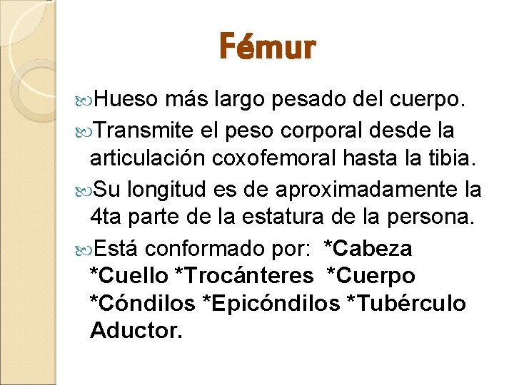 Fémur Hueso más largo pesado del cuerpo. Transmite el peso corporal desde la articulación