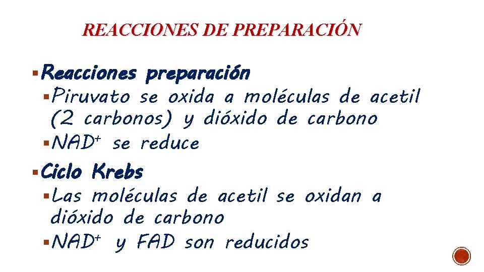 REACCIONES DE PREPARACIÓN §Reacciones preparación §Piruvato se oxida a moléculas de acetil (2 carbonos)