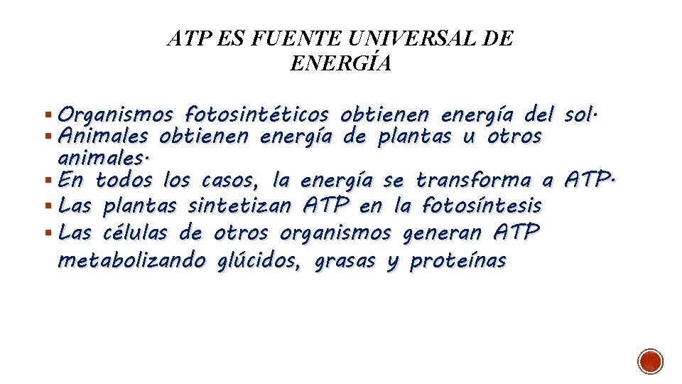 ATP ES FUENTE UNIVERSAL DE ENERGÍA § Organismos fotosintéticos obtienen energía del sol. §