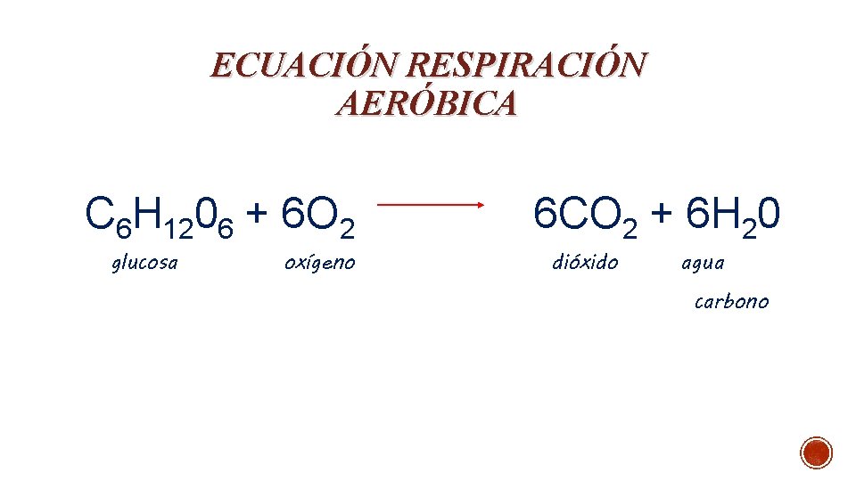 ECUACIÓN RESPIRACIÓN AERÓBICA C 6 H 1206 + 6 O 2 glucosa oxígeno 6