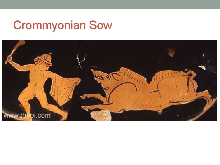 Crommyonian Sow 