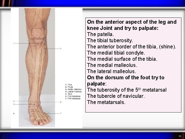 On the anterior aspect of the leg and knee Joint and try to palpate: