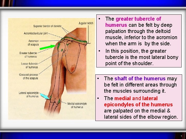  • The greater tubercle of humerus can be felt by deep palpation through