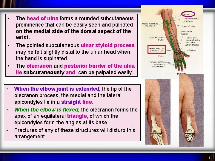  • • • The head of ulna forms a rounded subcutaneous prominence that