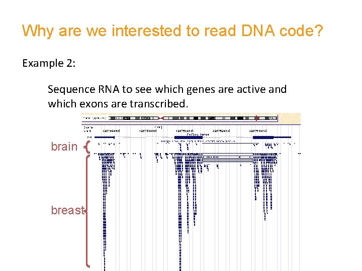 Why are we interested to read DNA code? Example 2: Sequence RNA to see