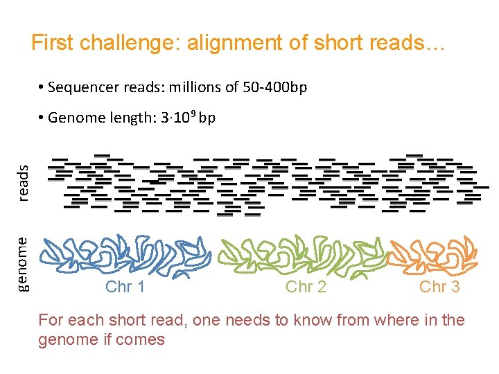 First challenge: alignment of short reads… • Sequencer reads: millions of 50 -400 bp