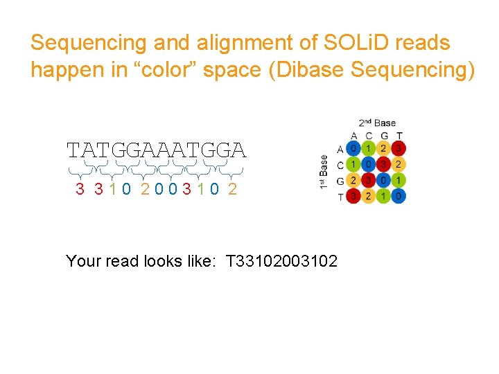 Sequencing and alignment of SOLi. D reads happen in “color” space (Dibase Sequencing) TATGGAAATGGA