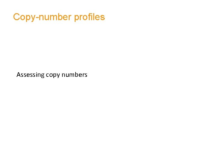 Copy-number profiles Assessing copy numbers 