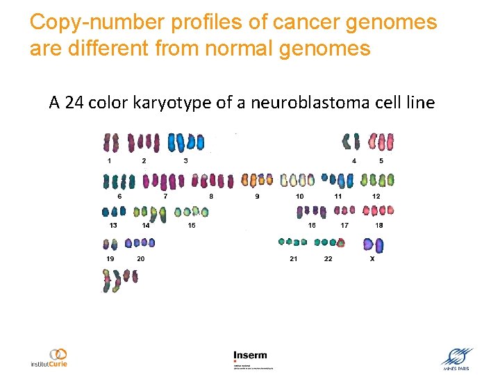 Copy-number profiles of cancer genomes are different from normal genomes A 24 color karyotype
