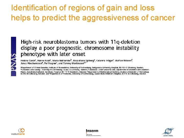 Identification of regions of gain and loss helps to predict the aggressiveness of cancer