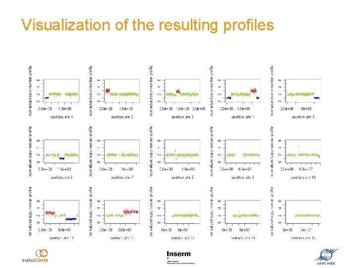 Visualization of the resulting profiles 