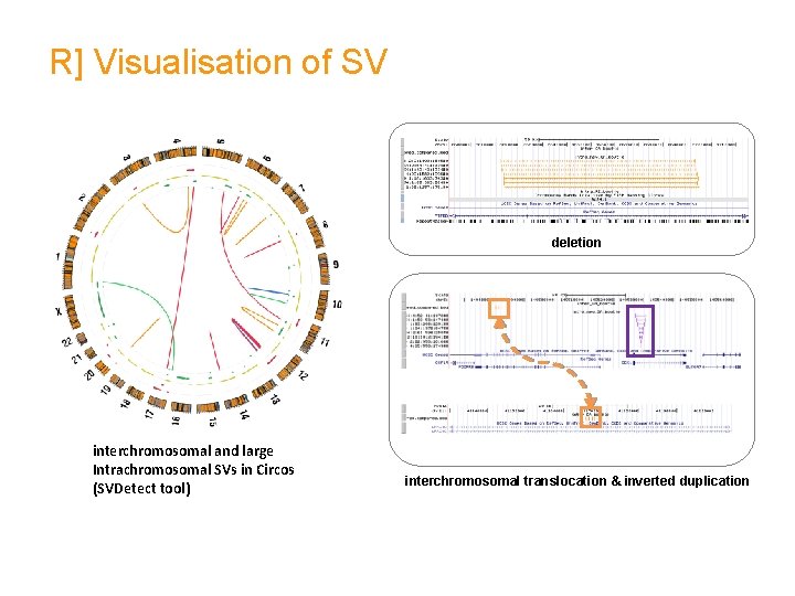 R] Visualisation of SV deletion interchromosomal and large Intrachromosomal SVs in Circos (SVDetect tool)