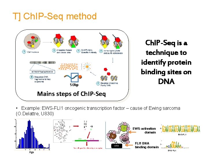 T] Ch. IP-Seq method 50 bp Ch. IP-Seq is a technique to identify protein