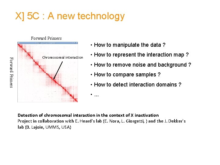 X] 5 C : A new technology Forward Primers • How to manipulate the