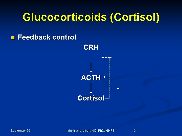 Glucocorticoids (Cortisol) n Feedback control CRH ACTH Cortisol September 20 Munir Gharaibeh, MD, Ph.