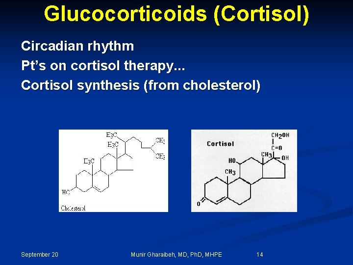 Glucocorticoids (Cortisol) Circadian rhythm Pt’s on cortisol therapy. . . Cortisol synthesis (from cholesterol)